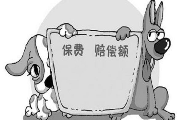平安愛(ài)滿分