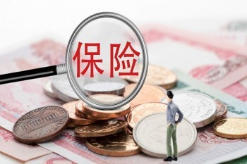 鴻福至尊保險(xiǎn)