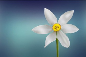 終身防癌險(xiǎn)最大保額