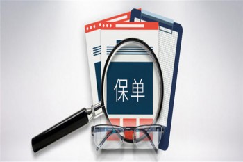 國壽父母綜合意外險(xiǎn)電子保單