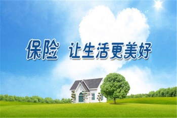 養(yǎng)老保險(xiǎn)