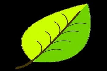 中國人壽醫(yī)療險介紹