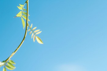 人人安康保險(xiǎn)醫(yī)保范圍
