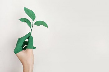 人身意外險一月多少錢