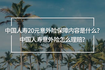 中國(guó)人壽20元意外險(xiǎn)