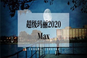 超級瑪麗2020max缺點