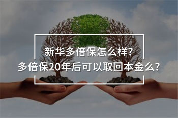 多倍保20年后可以取回本金么