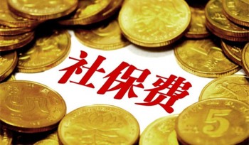 社?；鶖?shù)有幾檔