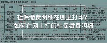 社保繳費(fèi)明細(xì)在哪里打?。咳绾卧诰W(wǎng)上打印社保繳費(fèi)明細(xì)