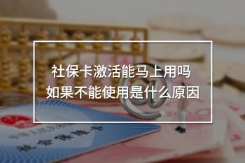社?？せ钅荞R上用嗎 如果不能使用是什么原因