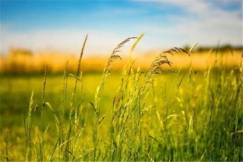 友邦兒童重疾險(xiǎn)買30萬(wàn)還是50萬(wàn)好