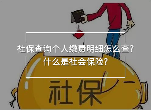 社保查詢個人繳費明細怎么查？什么是社會保險？