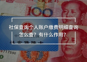 社保查詢個人賬戶繳費明細查詢怎么查