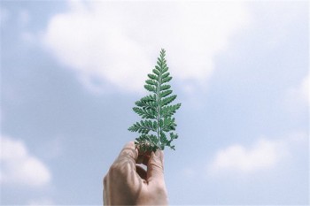 什么情況下買不了重疾險