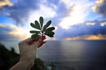 癲瘋病沒住過院能買重疾險嗎