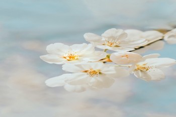 福保保壽險