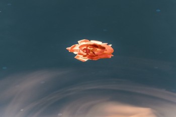 壽險(xiǎn)賠付怎么算
