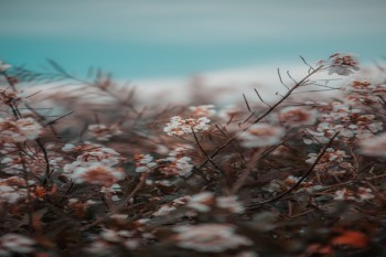 中國人壽重疾險報銷流程