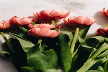 平安重疾險(xiǎn)理賠需要調(diào)查多久