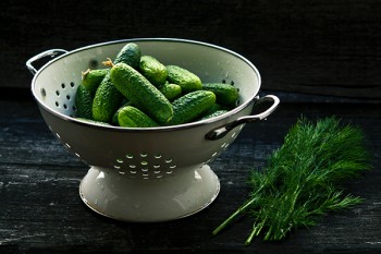 保險(xiǎn)能全額退保嗎？要怎么才可以退保？