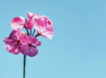 多倍保的優(yōu)點(diǎn)和缺點(diǎn)分別有什么？值得買嗎？