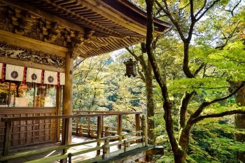 京心保防癌醫(yī)療險怎么樣？值得買嗎？