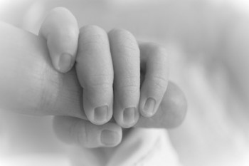 教你如何買保險