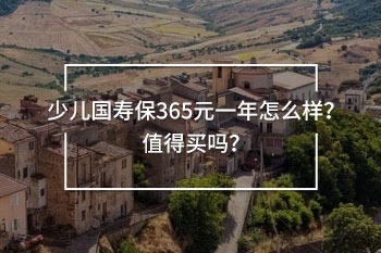 少兒國(guó)壽保365元一年怎么樣？值得買嗎？