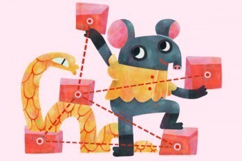 社保如何退保拿回本金