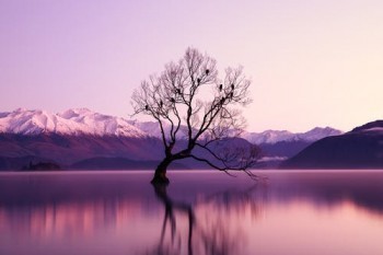 微信水滴保怎么申請退保？水滴?？孔V嗎？