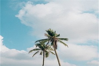 商業(yè)保險需要買嗎？購買的過程中需要注意什么？