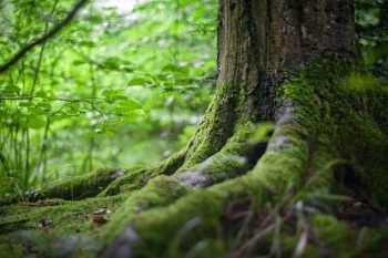 有了醫(yī)保還需要買商業(yè)保險嗎？商業(yè)保險有什么類型？
