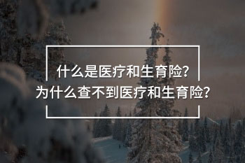什么是醫(yī)療和生育險？為什么查不到醫(yī)療和生育險？