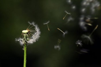 太平洋壽險(xiǎn)金佑人生退保能退多少