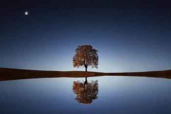 金彩明天兩全a分紅型保險(xiǎn)責(zé)任是什么？分紅怎么計(jì)算?