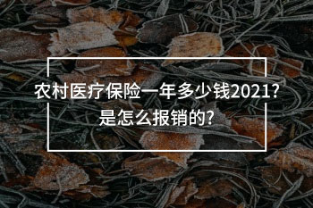 農(nóng)村醫(yī)療保險(xiǎn)一年多少錢2021
