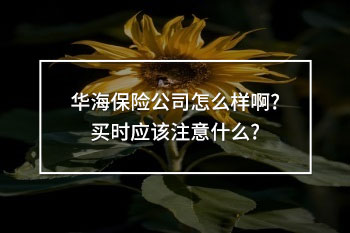 華海保險公司怎么樣啊?買時應(yīng)該注意什么?