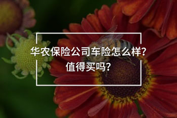華農(nóng)保險公司車險怎么樣？值得買嗎？
