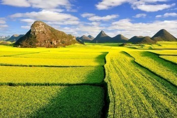 和泰人壽增多多2號增額終身壽險怎么樣?有哪些優(yōu)點?