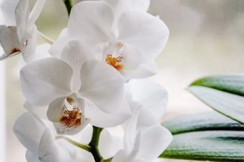 超級瑪麗4號重疾險保費(fèi)