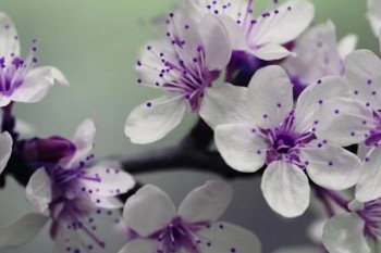 超級(jí)瑪麗重疾險(xiǎn)2號(hào)max保什么？可附加什么責(zé)任？