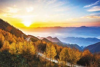增多多增額壽險的起投門檻非常低