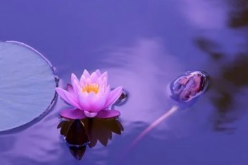 信泰完美人生守護(hù)的坑和缺點(diǎn),全在這里了？有哪些保障內(nèi)容？