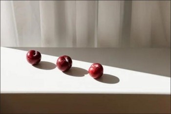 康惠保和達爾文五號對比有什么區(qū)別？各有什么優(yōu)勢？