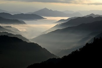 達(dá)爾文五號(hào)保險(xiǎn)是哪家公司的