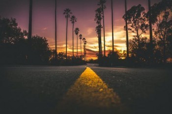 保險(xiǎn)公司哪個靠譜