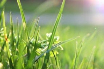 網(wǎng)上如何辦理退保？能退多少錢？