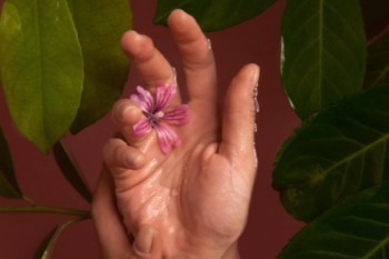 退保會(huì)不會(huì)影響再次投保？退保需要注意些什么？