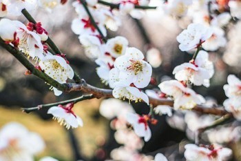 個(gè)人想買保險(xiǎn)怎么買？花多少錢合適？