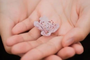 保險(xiǎn)交到期限能全額退嗎？怎么退？